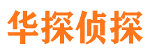 东山侦探公司